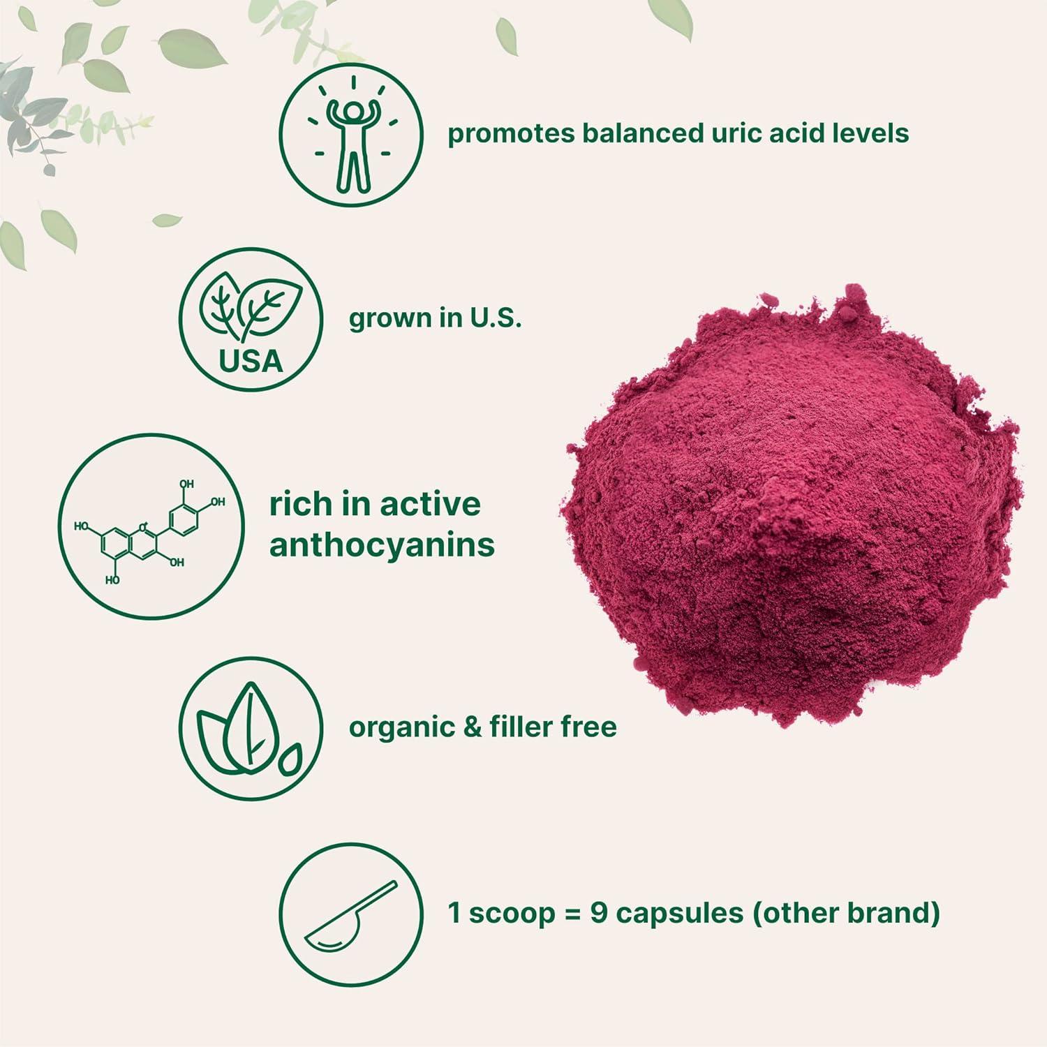 image:imageOrganic Tart Cherry powder 4oz 100 Natural Fruit Powder US Grown Tart Cherries Source No Sugar amp Additives Great Flavor for Drinks Smoothie amp Beverages NonGMO amp Vegan Friendly