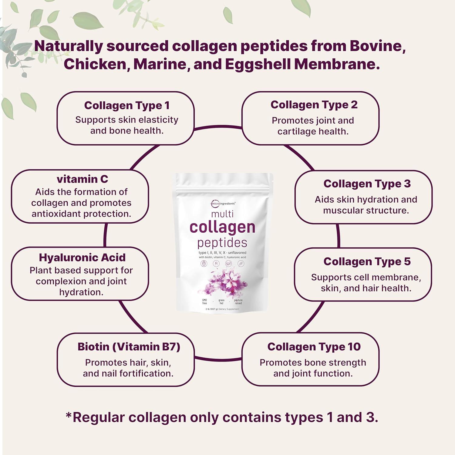 image:imageMicro Ingredients Multi Collagen Peptides Powder 1lb Hydrolyzed Type IIIIIIVX with Biotin Hyaluronic Acid Vitamin C Unflavored Collagen for Women amp Men Easy Dissolve 41 Servings2 Pound Pack of 1