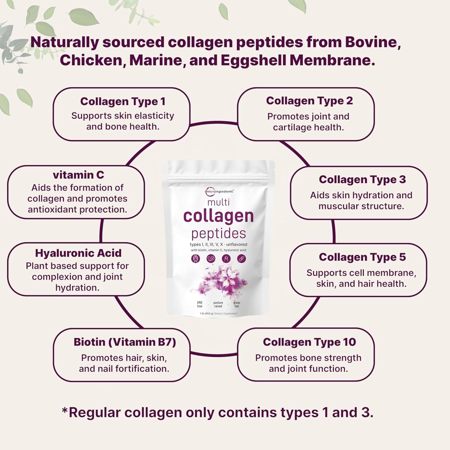 image:imageMicro Ingredients Multi Collagen Peptides Powder 1lb Hydrolyzed Type IIIIIIVX with Biotin Hyaluronic Acid Vitamin C Unflavored Collagen for Women amp Men Easy Dissolve 41 Servings1 Pound Pack of 1