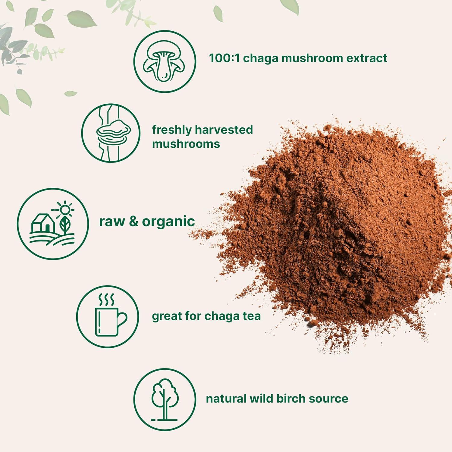 image:imageMicro Ingredients Organic Chaga Mushroom Extract 10 oz 1001 Wild Harvested Supports Immune amp Antioxidant Defense Great for Tea amp Smoothies NonGMO Vegan Friendly