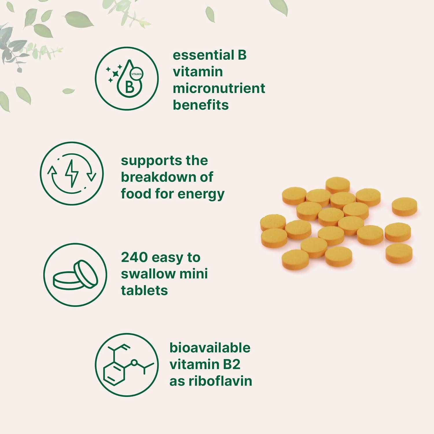 image:imageMicro Ingredients Riboflavin Vitamin B2 400mg Per Serving 240 Mini Tablets Essential Vitamin B Supplement B Vitamins for Energy Production Easy to Swallow NonGMO