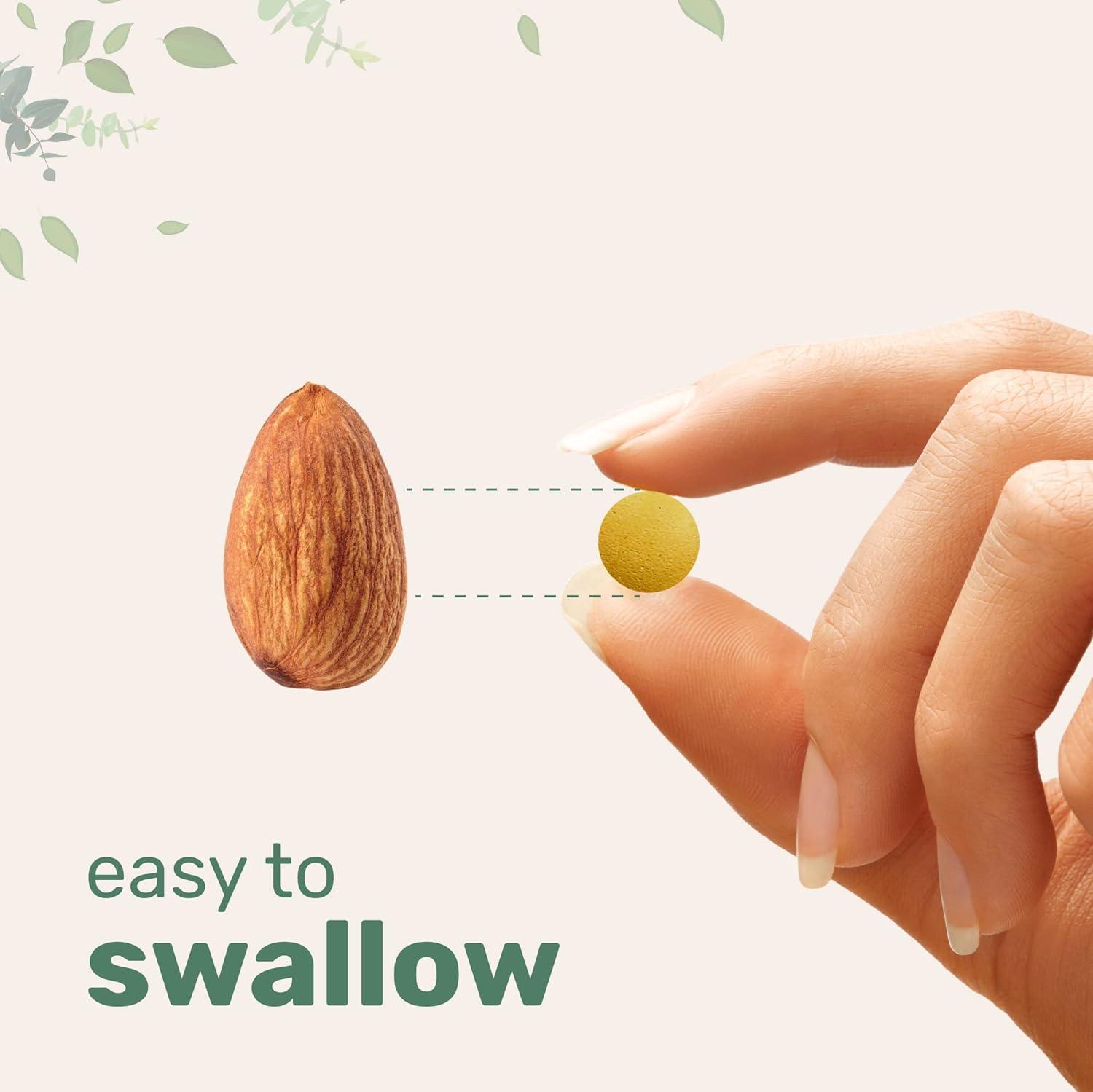 image:imageMicro Ingredients Riboflavin Vitamin B2 400mg Per Serving 240 Mini Tablets Essential Vitamin B Supplement B Vitamins for Energy Production Easy to Swallow NonGMO