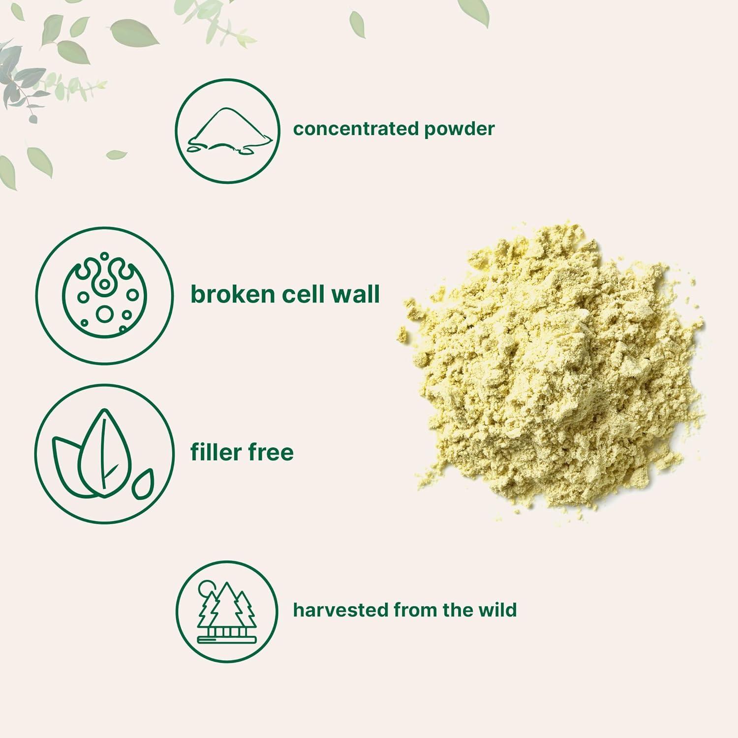 image:imagePure Pine Pollen Powder 6 Ounce Wild Harvest an Broken Cell Wall Supports Immune System Health Boosts Energy Antioxidant amp Androgenic No GMOs Vegan Friendly