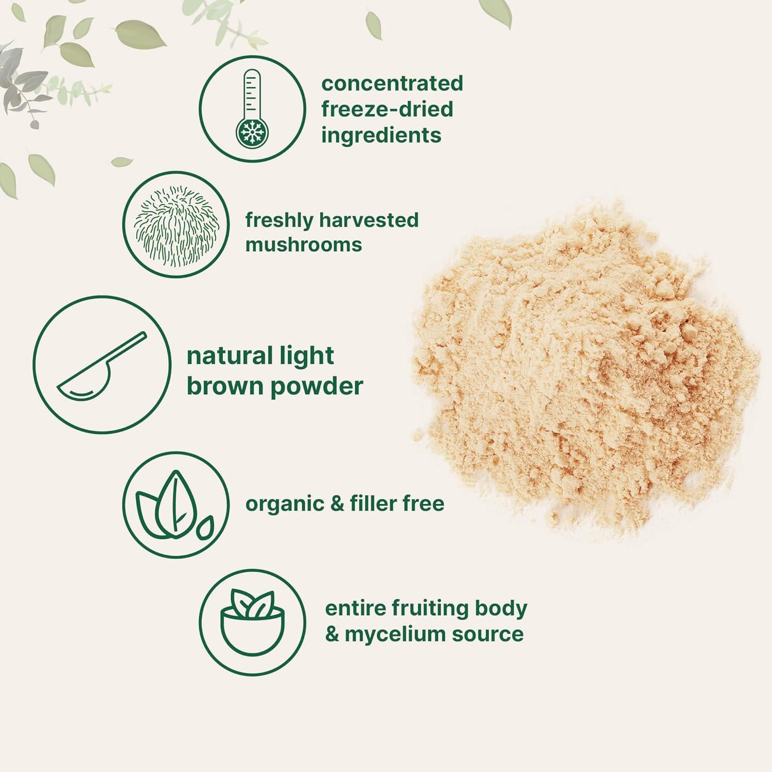 image:imageMicro Ingredients Organic Lions Mane Mushroom Powder 16oz Pure Fruiting Body Superfood Supports Brain Focus Energy amp Immune Health Great for Smoothies amp Coffee Filler Free Vegan NonGMO16 Ounce Pack of 1