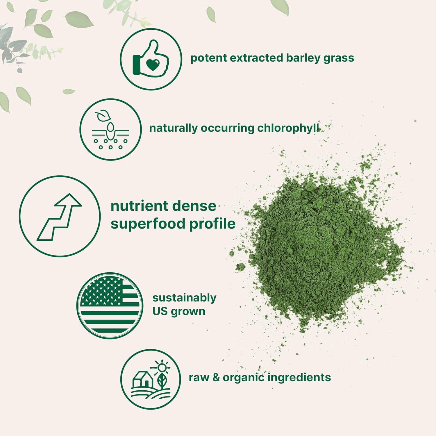 image:imageOrganic Barley Grass Powder 16 Ounces US Grown Rich in Vitamins Minerals Fibers amp Antioxidants Superfood Greens Mix for Immune Health and Digestion Support NonGMO