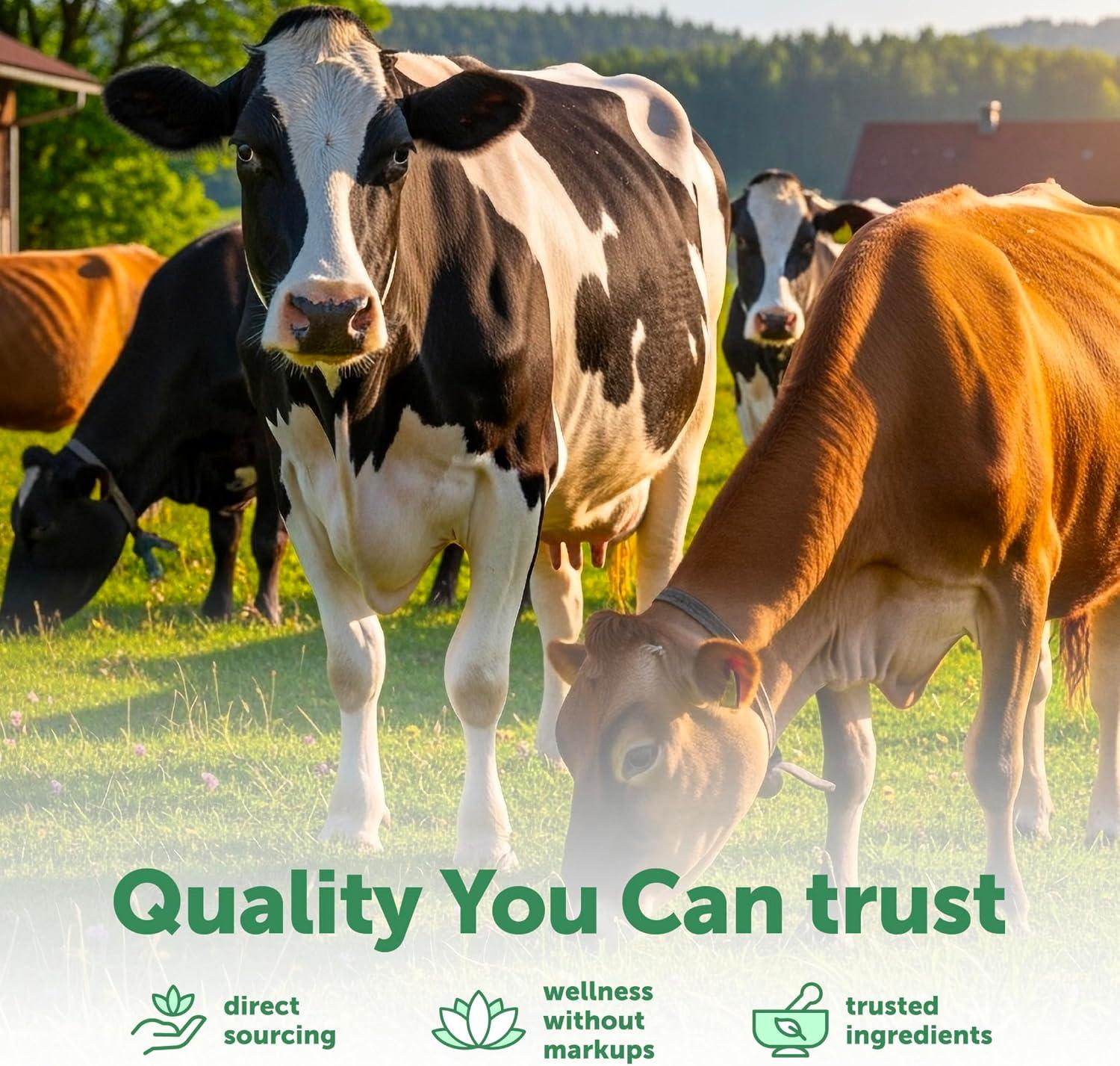 image:imageMicro Ingredients Bovine Colostrum 1000 mg Per Serving 240 Capsules 40 IgG with Collagen amp Probiotics Colostrum Supplement with 10 Probiotic Strains NonGMO Gluten Free