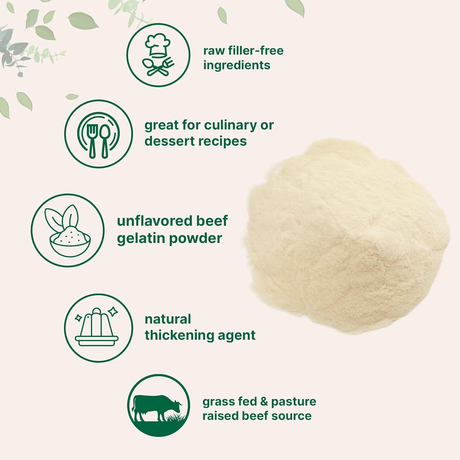 image:imageBeef Gelatin Powder 1lb Premium Source from GrassFed amp Pasture Raised Beef Unflavored Thickening Agent for Cooking amp Baking Natural Protein amp Collagen NonGMO Gluten Frees16 Ounce Pack of 1