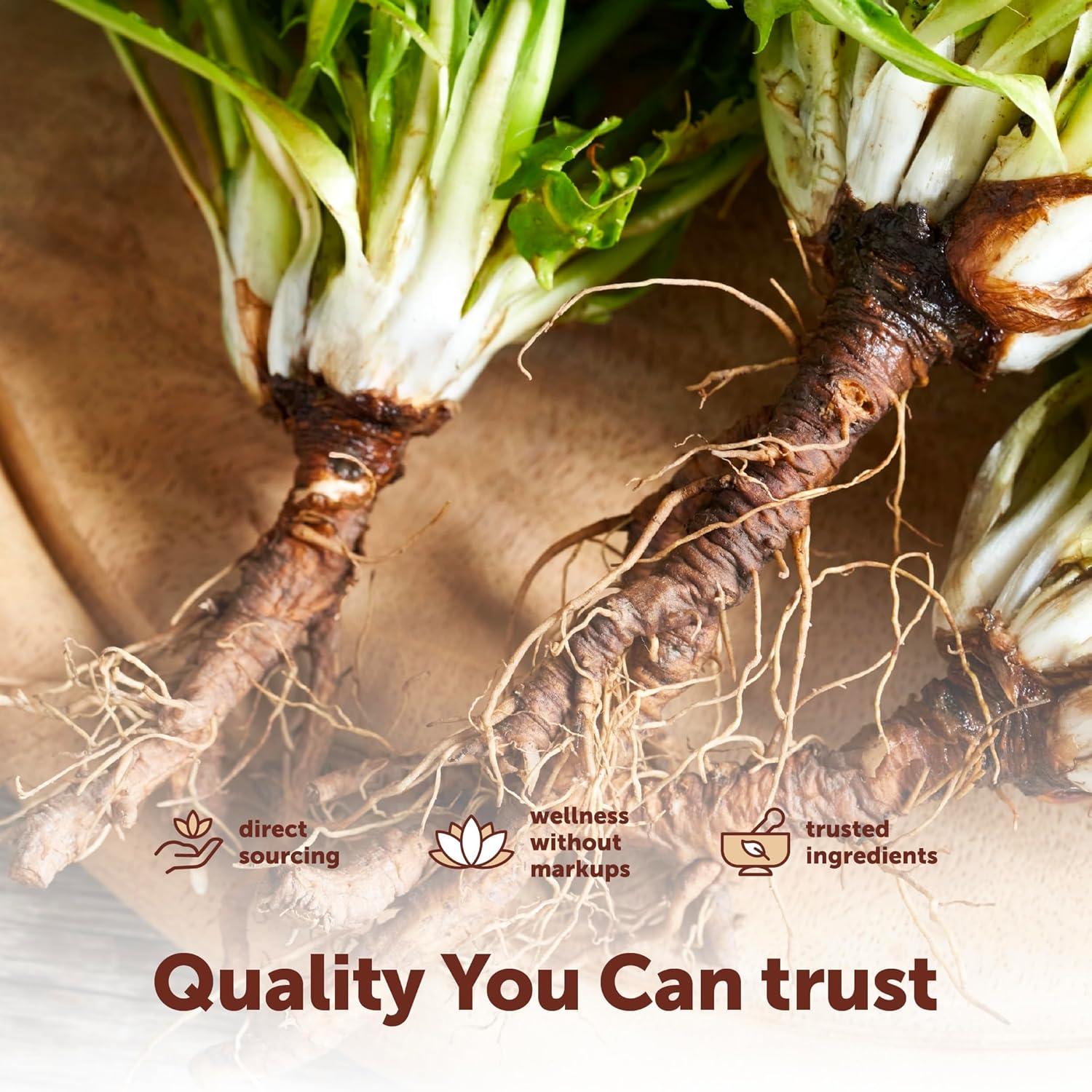 image:imageMicro Ingredients Dandelion Root Extract Taraxacum officinale 1000mg Per Serving 240 Softgels 3in1 Herbal Blend with Turmeric amp Ginger Extract Made with Milk Thistle Oil NonGMO