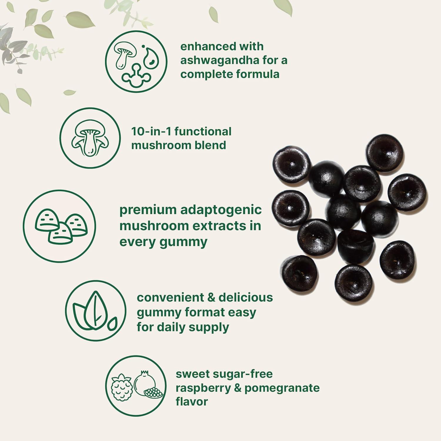 image:imageMicro Ingredients Mega Mushroom Gummies 10in1 with Lions Mane Turkey Tail Reishi Cordyceps Chaga Maitake amp Ashwagandha SugarFree Raspberry Pomegranate Flavor NonGMO 120 Count
