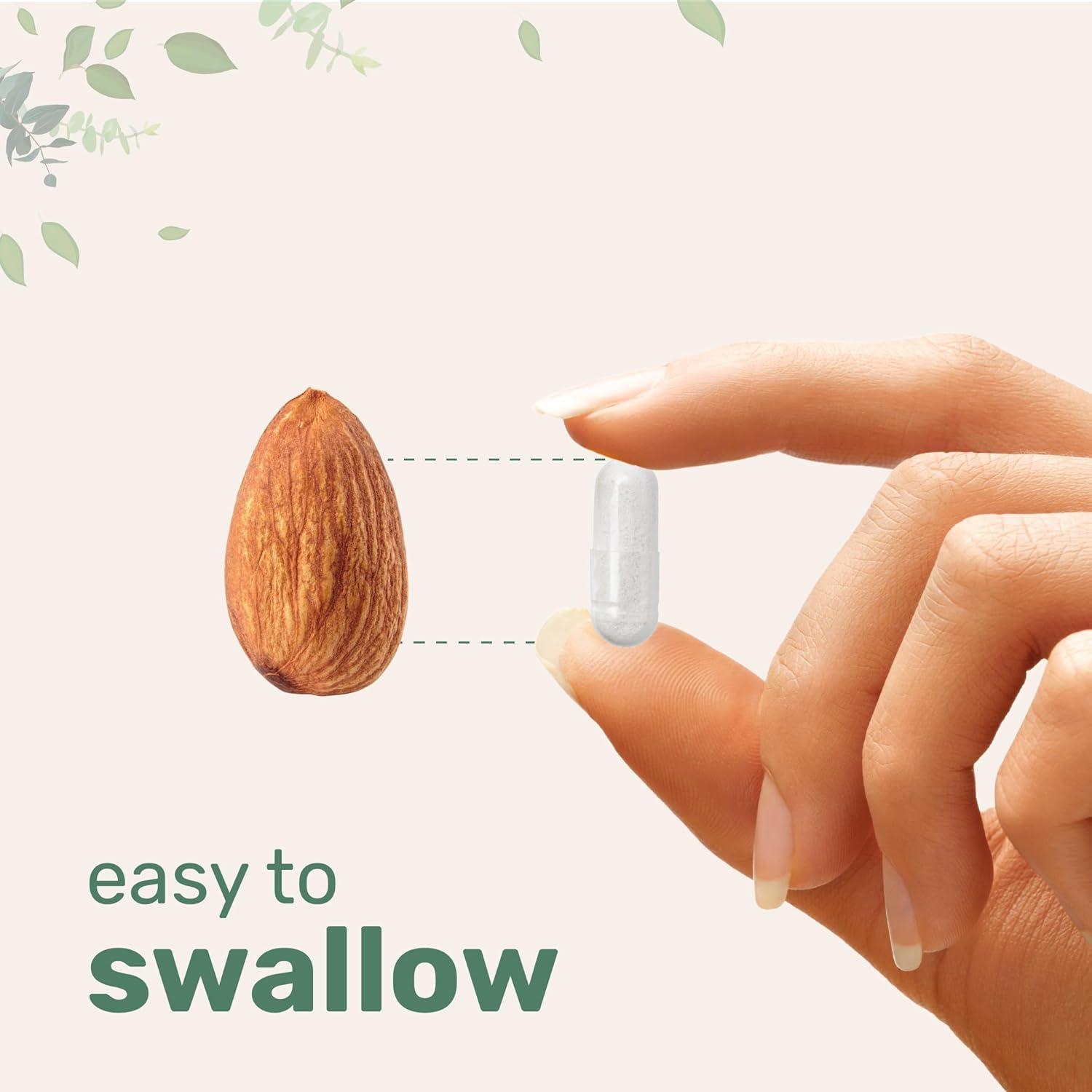 image:imageMicro Ingredients Saccharomyces Boulardii Probiotics 10 Billion CFU with Prebiotics 240 Vegetarian Capsules 2in1 Probiotic amp Prebiotic Blend Added Inulin from Chicory Root NonGMO