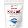 240 Count (Pack of 1)