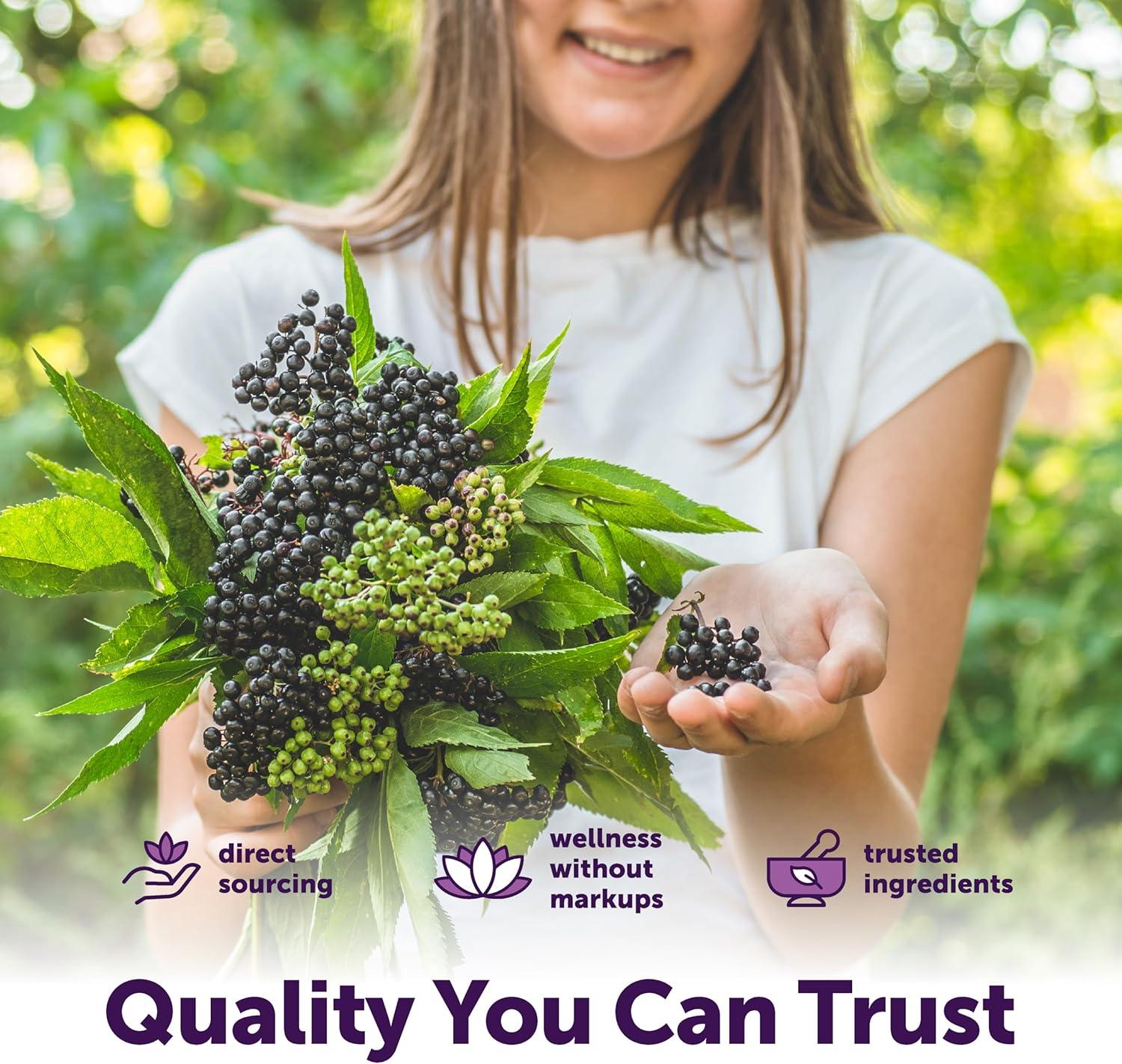 image:imageMicro Ingredients Elderberry Complex with Zinc amp Vitamin C 360 Softgels 7in1 with D3 Oil of Oregano Quercetin amp Ginger Made with MCT amp Elderberry Seed Oil
