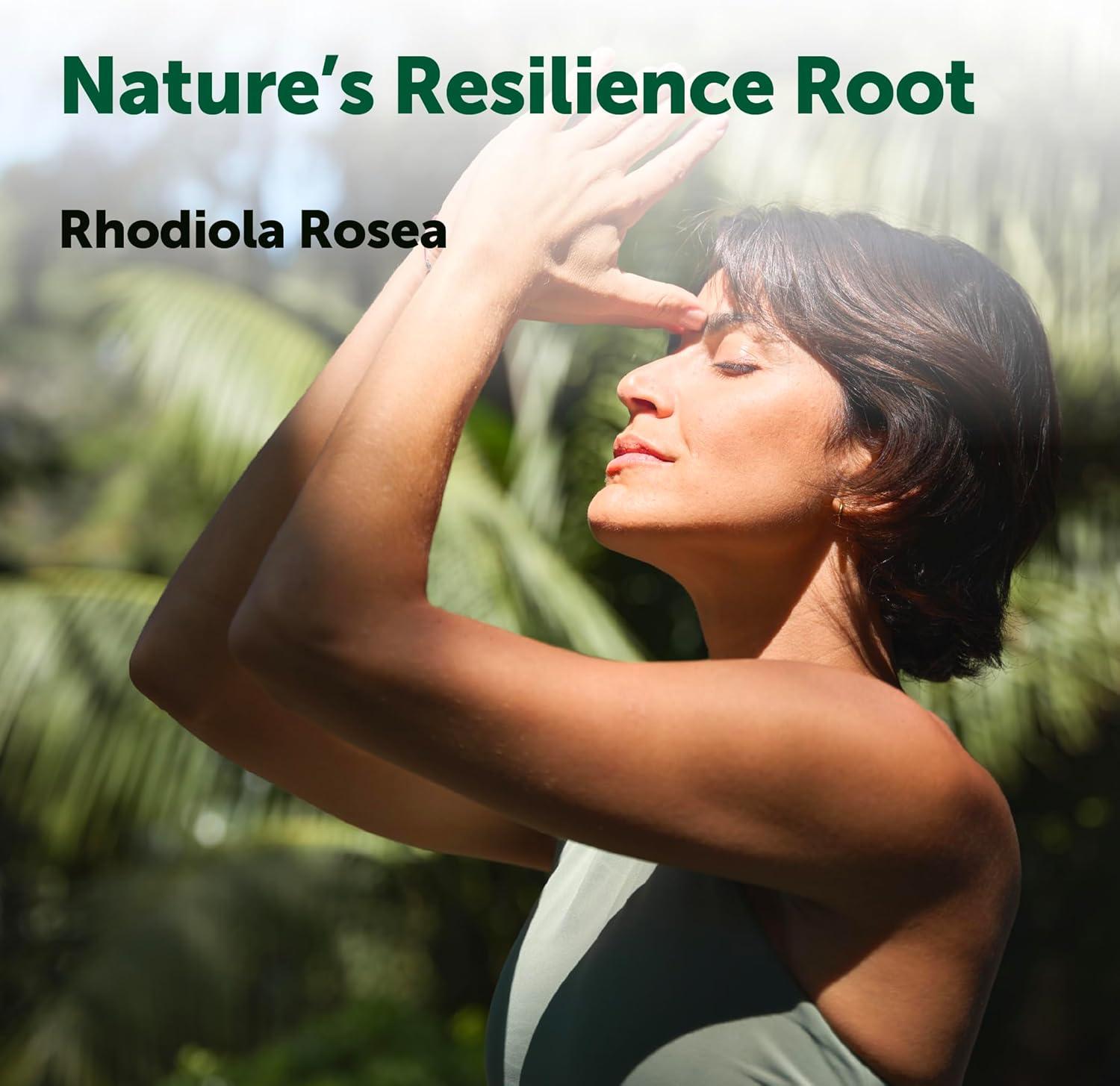 image:imageMicro Ingredients Rhodiola Rosea Supplement 240 Vegetarian Capsules Rhodiola Rosea Extract Powder with Ashwagandha Saffron Passion Flower amp Holy Basil NonGMO Gluten Free