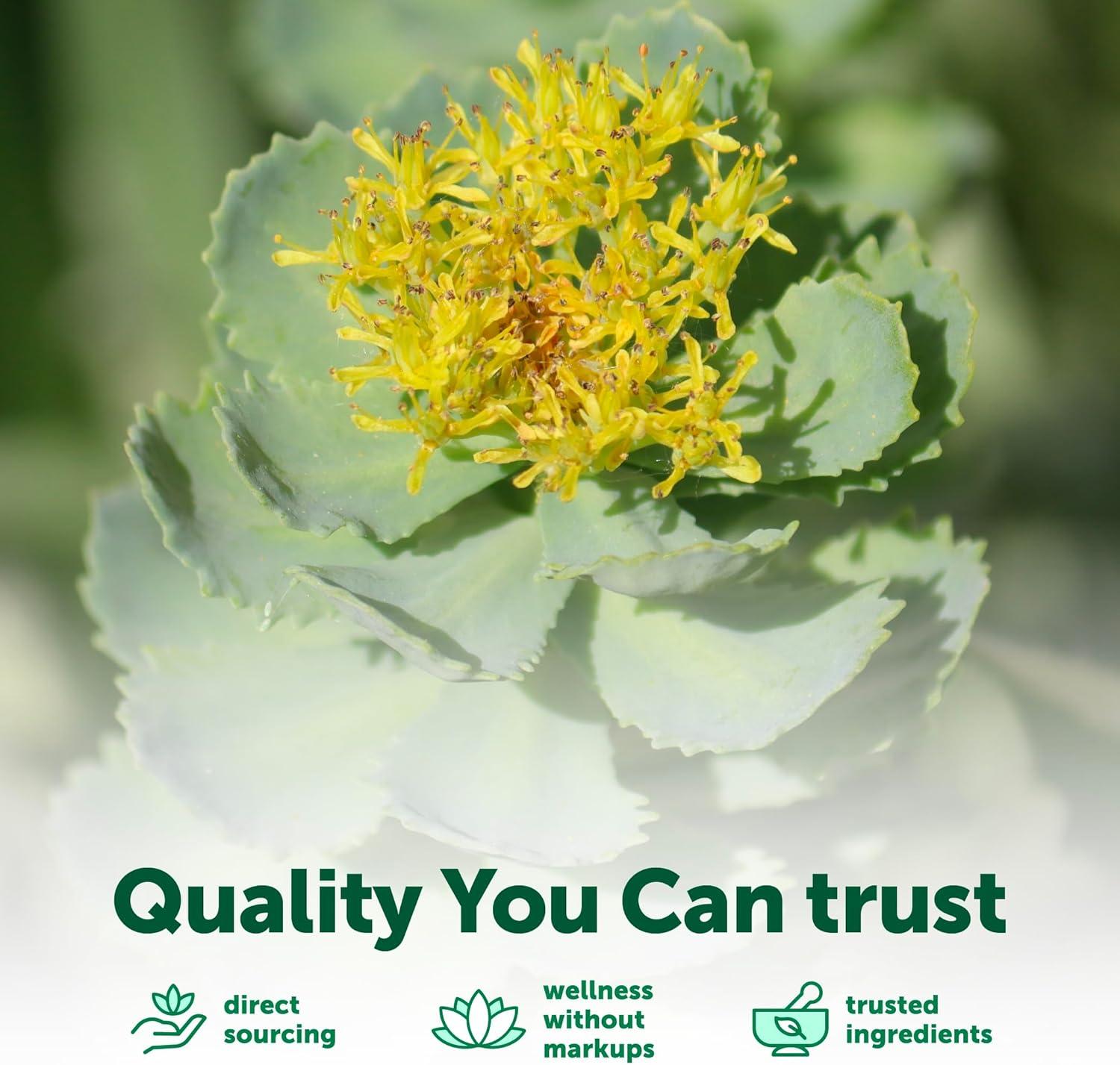 image:imageMicro Ingredients Rhodiola Rosea Supplement 240 Vegetarian Capsules Rhodiola Rosea Extract Powder with Ashwagandha Saffron Passion Flower amp Holy Basil NonGMO Gluten Free