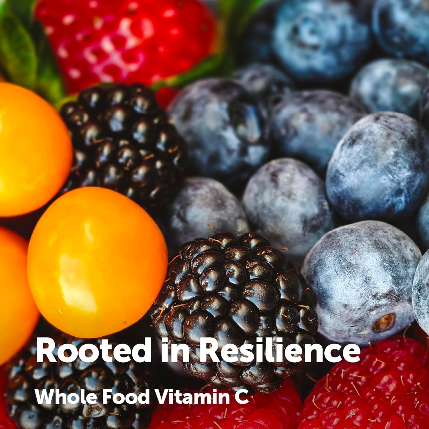 image:imageMicro Ingredients Whole Food Vitamin C Complex 240 Vegetarian Capsules 10in1 Fruit amp Berry Blend with Acerola Amla Goji Berries Rose Hip Cranberry Extracts NonGMO Vegan Gluten Free